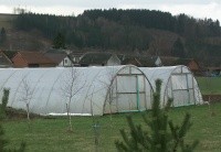 Agroflie